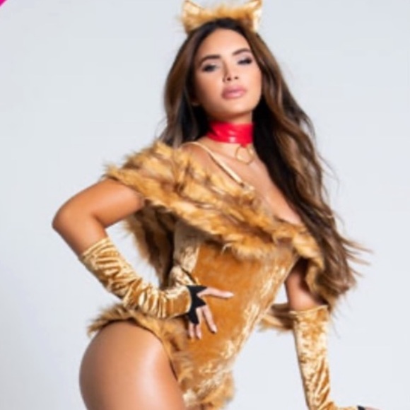Forplay lion costume